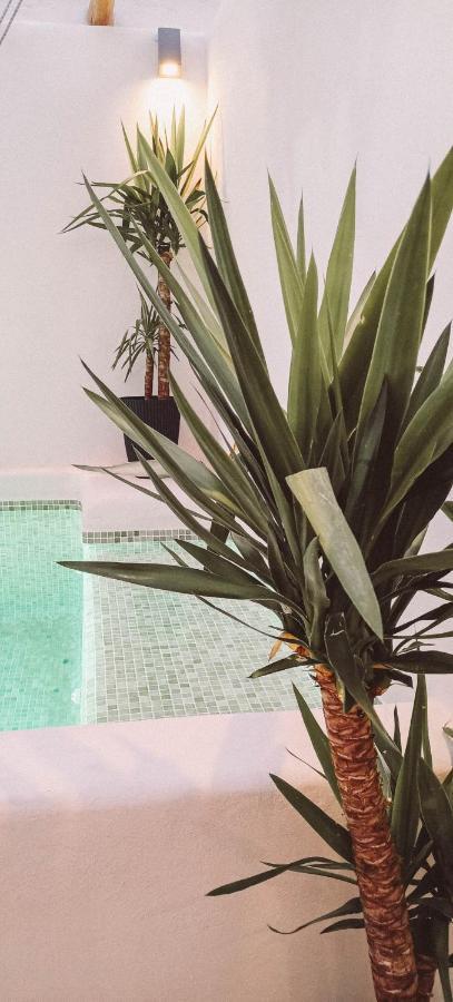Ronda City Wall Apartments With Private Pool Exterior foto